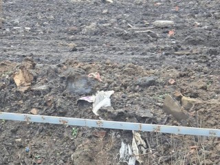 Бетон вместо урожая: почему Минэкологии вступило в бой за земли под Мытищами