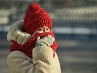 Не просто холод, а ледяной ад: Подмосковье ждет до -15 градусов и снегопады в Новый год