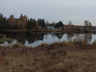 Пруд в Русаках приведут в порядок в 2026 году