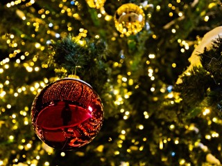 Теперь она нарядная: когда зажгут главные елки в парках Сергиева Посада