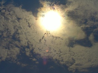 Жители Сергиева Посада заметили редкое атмосферное явление, которое случается раз в десятилетие