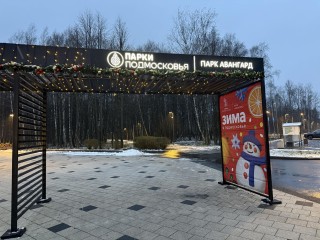 Кросс с футболистами, дзюдо и свечи ручной работы: чем удивит электростальский парк «Авангард»