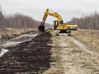 И торфяники целы, и жители рады: как в Подмосковье удалось избежать возгораний полезных ископаемых