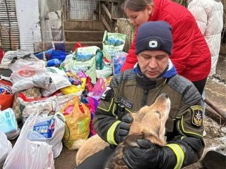 Спасатели и школьники Солнечногорска объединились для помощи животным