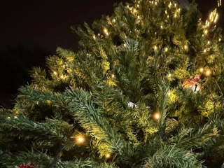 Мастер-класс по новогодним гирляндам пройдет в «Восходе»