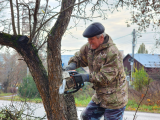 На улице Вокзальной спилили опасные деревья около детской площадки