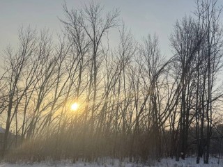 В небе над Дедовском вспыхнул «солнечный пес»: редкий кадр попал в сеть