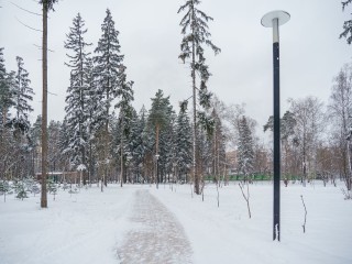 Ледяные иглы с небес: редкое и коварное явление накроет Подмосковье