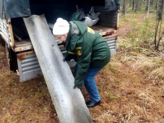 Более кубометра строительного мусора вывезли лесничие из Мещерского леса