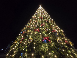 Золотые шары, красные банты и сияющая подсветка: на Октябрьской площади представили главный новогодний символ