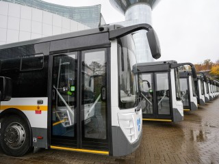 Как изменится логотип Мострансавто — решит голосование: как принять участие