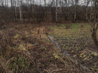 Обнаружено строение с мойкой: в Красногорске выявили незаконный сброс сточных вод