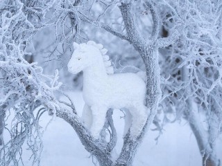Лошадь «запрыгнула» на дерево в Балашихе: снимки символа года завирусились в соцсетях