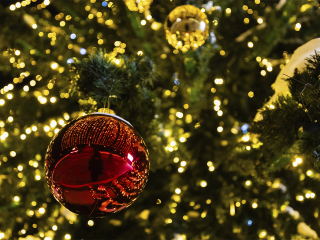 Жителей приглашают на зажжение новогодних огней и творческие мастер-классы