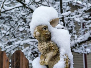 Морозы до −18°C и аномальное давление: какой будет погода в Москве и Подмосковье после Нового года