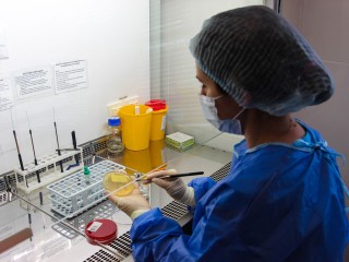 В «Ступинской Ниве» искали опасных вредителей: официальные итоги проверки