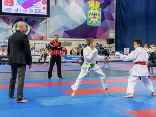 Воскресенские спортсмены завоевали Кубок России по восточному боевому единоборству