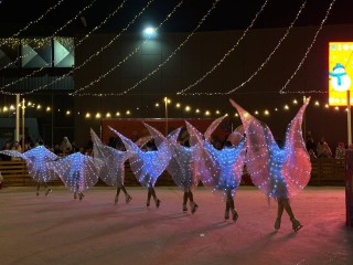 Яркое ледовое представление и фаер-шоу: как открывали каток в Видном