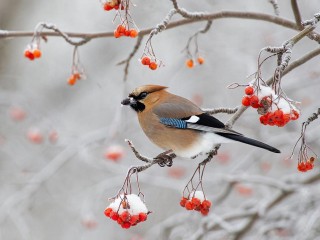 Какой народный праздник 11 декабря 2025: что можно и нельзя делать в этот день
