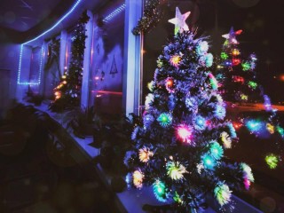 Поедем, Снегурки, кататься: где в Подмосковье уже ходит праздничный транспорт и как попасть на поздравление Деда Мороза