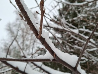 Переменчивая зима: видновчан ждет температурные качели и смешанные осадки