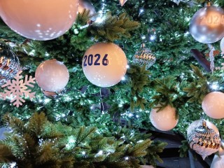 Волшебство своими руками: в Видном прошел мастер‑класс в Резиденции Деда Мороза