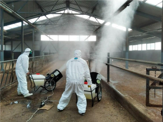 Предотвратить заражение: как ветеринары Подмосковья обеспечивают безопасность животных и продуктов с помощью химической дезинфекции