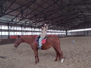 Пенсионеры на коне: в Сергиевом Посаде прошел необычный мастер‑класс по верховой езде