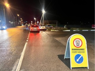 В Орехово-Зуеве полицейские проверили соблюдение водителями правил перевозки детей