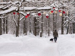Собака позволит привести холестерин в норму: врач из Пушкино