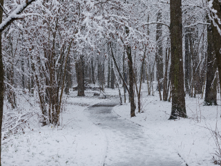 Синоптик пообещал климатические качели в Подмосковье: оттепель сменится январскими морозами