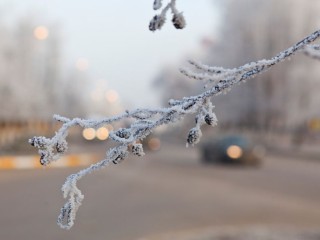 Подмосковье в плюсе: синоптик объяснил, почему 2025 год может стать самым теплым в истории