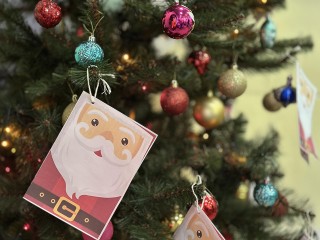 Подарить чувство семейного тепла. Спортсмены в Пушкино впервые организовали «Елку желаний»