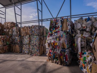 Экологические активисты в каждом округе: что они успели сделать за год в Подмосковье