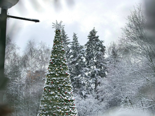 Погода в Подмосковье на последние выходные года: снегопады и морозы до -10