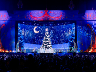 Где можно получить билет на губернаторскую елку