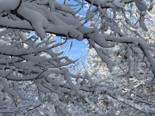 Улицы Лотошина превратятся в снежную сказку 25 декабря