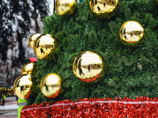 Где провести новогоднюю фотосессию бесплатно: обзор локаций в Химках