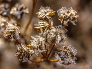 Какой народный праздник отмечают 9 декабря 2025: что можно и нельзя делать на Юрьев день