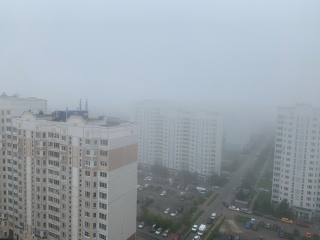 Осторожно, туман: жителей Чехова предупредили об ухудшении видимости на дорогах