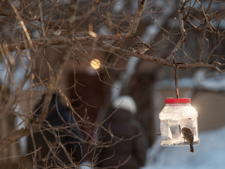 Самый холодный день декабря 2025: температура воздуха в Подмосковье упадет до -18 градусов
