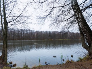 Жители могут повлиять на скорейшую расчистку двух прудов в Пушкинском округе