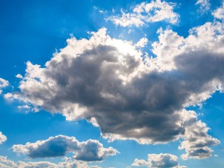 Зима без снега? Подмосковье получит свое «декабрьское чудо» уже на этой неделе