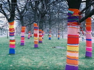 Агроном Михаил Воробьев считает, что ярнбомбинг не вредит деревьям