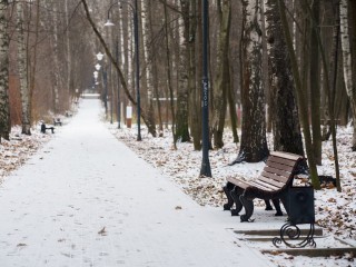 Лосино-Петровский накроют снег и гололед в начале недели