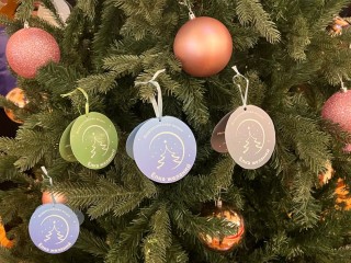 Вместо Деда Мороза: министр науки РФ подарит детям из Электростали конструкторы и квадрокоптер