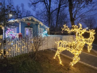 Предновогодние активности: какие мероприятия пройдут с 3 по 7 декабря в Солнечногорске