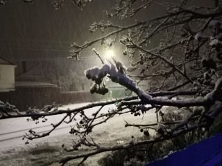 Усиление морозов пообещали ружанам к утру 23 декабря