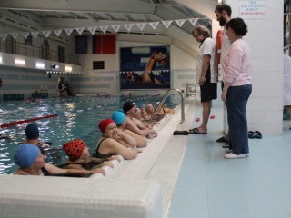 Международный день инвалидов: в Подольске прошли соревнования по плаванию среди людей с ОВЗ