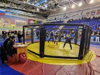 «Путь к Олимпу»: в Кашире выявили сильнейших в смешанных единоборствах